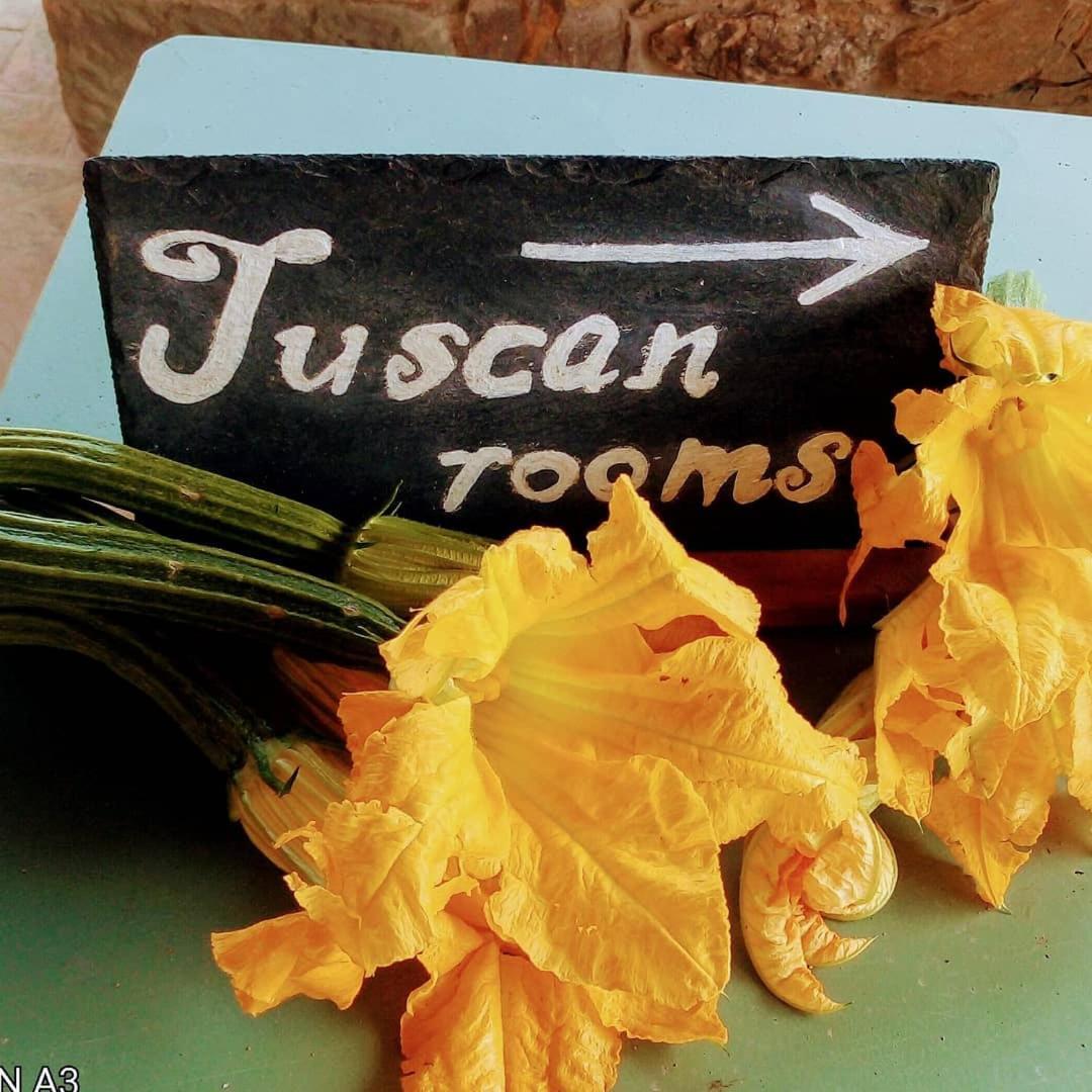 Tuscan Rooms Greve in Chianti Exterior foto